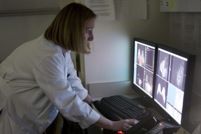 DR. ELIZABETH LAZARUS,  a radiologist at Women & Infants Hospital, looks at an MRI of breasts scanned with new technology where the patient lies on her stomach. / 