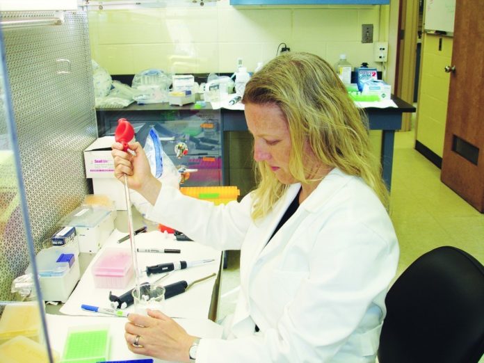 BETHANY JENKINS, in URI's Department of Cell and Molecular Biology, is among the women faculty members benefiting from the ADVANCE program. / 