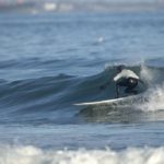 Surfers finding their way to R.I. IT'S GETTING EASIER for surfers to locate good waves, with Web sites like Surfline.com and surfing magazines. And when the waves are good, the surfers are likely to stay the night. /