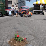 PROVFLUX ACTIVITIES included planting flowers in potholes around the city, an effort to 'reclaim' the space and also get people to think differently about the urban environment. / 