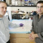 BROWN BIOMEDICAL engineering students Anthony Napolitano, left, and Dylan Dean believe the low cost of their 3-D Petri dish will make it a winner in the marketplace. / 