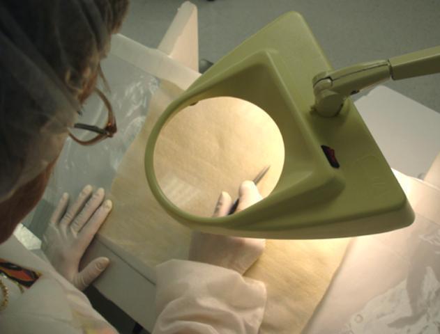 A TECHNICIAN examines one of the textiles that Biomedical Structures creates for use within the human body. / A TECHNICIAN examines one of the textiles that Biomedical Structures creates for use within the human body. /