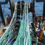 URI team’s fish-saving device reels in $30K prize THE ELIMINATOR trawl system, developed by URI researchers working with local fishermen, takes advantage of behavioral differences between haddock and other fish. /