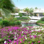 E.P. firm
a presence
in Egypt THE 48-ACRE RITZ-CARLTON resort in Egypt was the beginning of a more than decade-long presence in the country for Gates, Leighton & Associates. /
