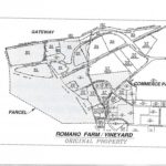 ROMANO VINEYARDS operated on nearly 370 acres of the property now composing the Quonset Business Park. / 
