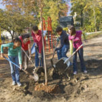 AS PART OF THE Trees 2020 project, French-American School of Rhode Island middle school students planted a shade tree in the Carolyn Brassil Memorial Park. / 