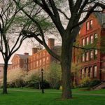 BROWN IS BEING FORCED to cut costs after a sharp fall in the value of its endowment and a minimal increase in tuition and fees for next year. / 