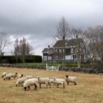 TREATY ROCK FARM in Little Compton was protected last year by public and private funds under the NCRS Farm and Ranch Lands Protection Program. / 