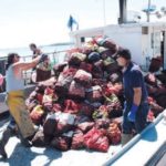 Dozens of registered shellfishermen helped the R.I. Department of Environmental Management harvest and transplant more than a half-million pounds of quahogs over the past month. The pay wasn&rsquo;t much &ndash; between $5 and $7 for each 50-pound bag. But redistribution of the hard-shell clams dug out of Greenwich Cove and Warwick Cove to management ponds was designed for a bigger payoff: the industry&rsquo;s long-term survival. Above, shellfishermen and volunteers help load quahogs on the boat Persistence. / 