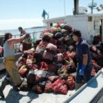 OCEAN OF OPPORTUNITY: Rhode Island Shellfishermen&rsquo;s Association President Michael McGiveney, left, and DEM Fish and Wildlife&rsquo;s Eric Marcus help load quahogs on a boat on Greenwich Bay. / 