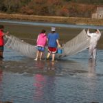 Students seining at the John H. Chafee Refuge