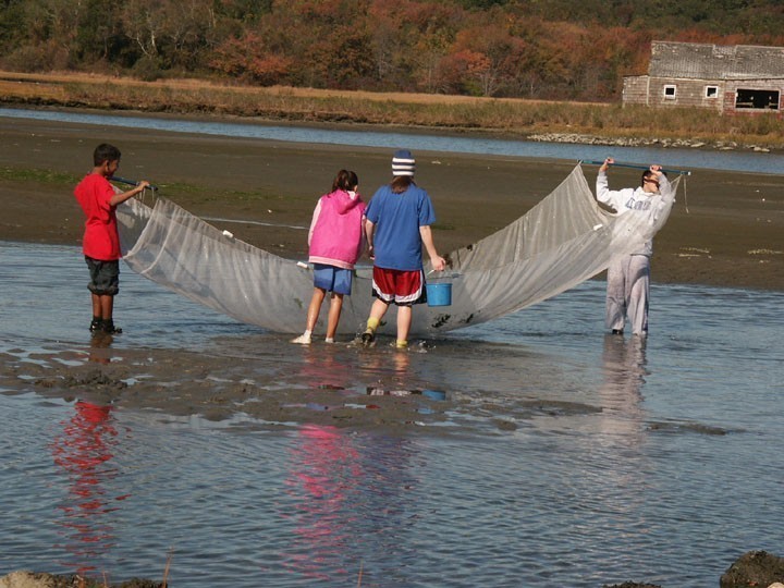 Students seining at the John H. Chafee Refuge Students seining at the John H. Chafee Refuge