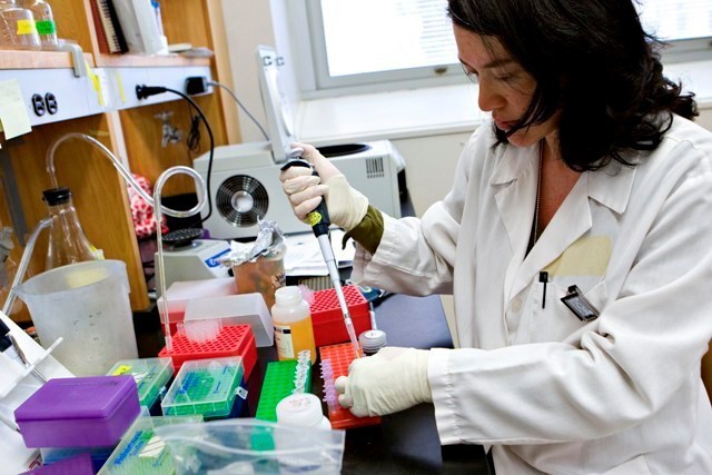 DEMAND WILL GROW FOR CLINICAL LAB workers over the next decade, according to a report by White House economists analyzing future job market trends. / DEMAND WILL GROW FOR CLINICAL LAB workers over the next decade, according to a report by White House economists analyzing future job market trends.<hr> /