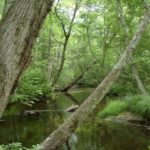 Conservancy purchases Exeter land THE FORMER TALBOT PROPERTY borders the 1,500-acre preserve area that The Nature Conservancy already owns in Exeter and West Greenwich. /
