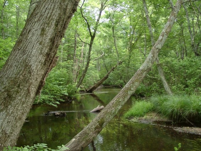 THE FORMER TALBOT PROPERTY borders the 1,500-acre preserve area that The Nature Conservancy already owns in Exeter and West Greenwich. / 
