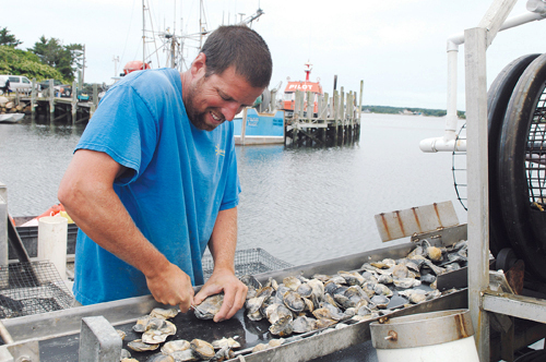 GO FISH: Salt Pond Oyster Co. owner Dave Roebuck sorts oysters on his processing barge. The R.I. Coastal Resources Management Council is considering rules that would limit the amount of shellfish farming in the state’s coastal ponds. / GO FISH: Salt Pond Oyster Co. owner Dave Roebuck sorts oysters on his processing barge. The R.I. Coastal Resources Management Council is considering rules that would limit the amount of shellfish farming in the state’s coastal ponds. /