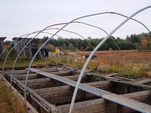 GO FISH: RWU students are exploring renewable energy technology that could help a farmer reopen his fish farm in Massachusetts. The farmer closed the farm because of
rising energy costs. / GO FISH: RWU students are exploring renewable energy technology that could help a farmer reopen his fish farm in Massachusetts. The farmer closed the farm because of
rising energy costs. /
