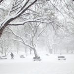 THE HARSHEST WINTER since 1985 may be under way on the East Coast, according to AccuWeather. Above, heavy snow in Washington, D.C., last month. / 