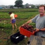 New group to promote, assist R.I. farms PATRICK MCNIFF, manager of Casey Farm in Saunderstown, harvests turnips last summer. At left is Amy Maas and at
center is Lilly Hancock. /