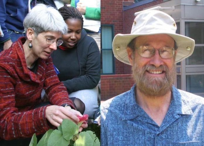 BROWN PROFESSORS Johanna Schmitt, left, and Donald Forsyth were elected to the American Academy of Arts and Sciences. / BROWN PROFESSORS Johanna Schmitt, left, and Donald Forsyth were elected to the American Academy of Arts and Sciences. /