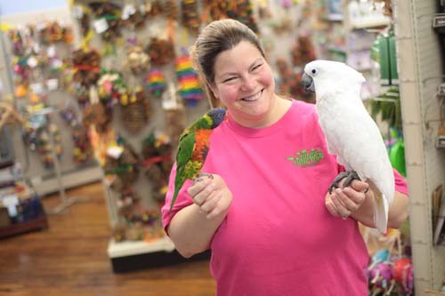 Bird jungle pet clearance shop