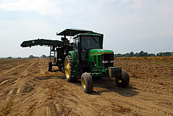 179 ACRES OF FARMLAND, MARSH and tidal land were preserved in Tiverton on the iconic Ferolbink Farms thanks to a $4 million public-private partnership. / 179 ACRES OF FARMLAND, MARSH and tidal land were preserved in Tiverton on the iconic Ferolbink Farms thanks to a $4 million public-private partnership. /