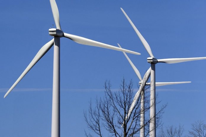 FIRST WIND's Stetson project in Maine. The company said Thursday it would not move forward with an IPO. / FIRST WIND's Stetson project in Maine. The company said Thursday it would not move forward with an IPO. /