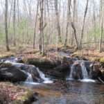 THE NATURE CONSERVANCY announced Tuesday it had purchased land in West Greenwich, including a property the Phillips Brook, above, runs through. / 
