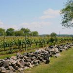 SAKONNET VINEYARDS in Little Compton is up for sale with an asking price of $8.9 million. / 