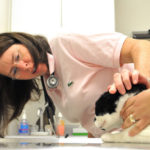 THE CAT&rsquo;S MEOW: Jane G. Linden, Providence River Animal Hospital owner, will take over the presidency of the Rhode Island Veterinary Medical Association in January. / 