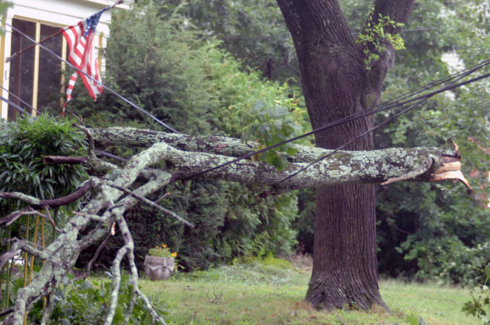 BROKEN TREE LIMBS atop power lines were a common sight in the wake of Tropical Storm Irene. Here a branch rests on wires on Shaw Avenue in Cranston on Sunday, Aug. 28. / PBN FILE PHOTO / BRIAN McDONALD