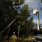 Being small pays off for independent utilities POWER MOVES: Mike Warner, head arborist for Pascoag Utility District, works on a fallen tree that is threatening to break power lines on Sheman Farm Road in Burrillville. / PBN PHOTO/BRIAN MCDONALD