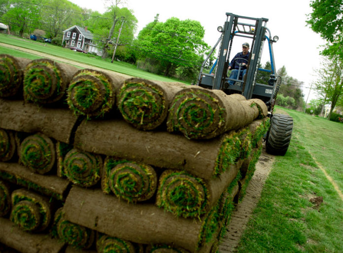 GRASS IS GREENER: Forklift operator Paul Maynard stacks pallets of sod at Sodco Inc. Mild weather has caused a spike in sales for the company. / PBN PHOTO/CHRIS SHORES