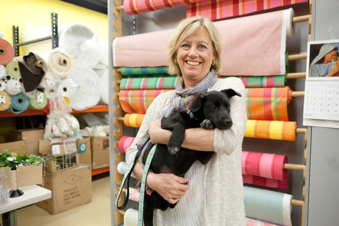 PET PROJECT: Up Country founder Alice Nichols with her new puppy, Minnie. She started the company 30 years ago, growing it from a one-woman startup to 30-person firm. / PBN FILE PHOTO/RUPERT WHITELEY