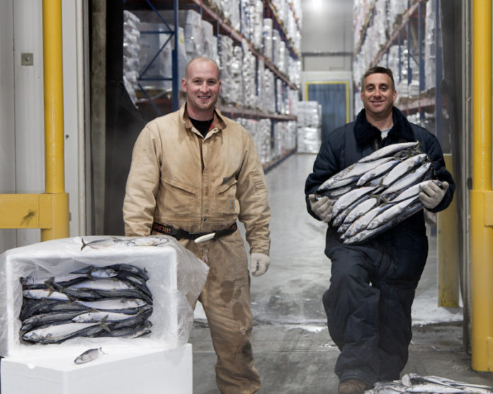 FISHY BUSINESS: Seafreeze Ltd., in North Kingstown, is among the businesses concerned about out-of-state fishermen depleting the local fishing quota. Above, warehouse workers Andrew Terry, left, and Sam Fusco. / PBN PHOTO/CATIA CUEN