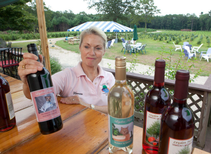 UNCORKING SUCCESS: Maureen Leyden, who owns Big John’s Christmas Tree Farm with her husband, Jack, says that it's been challenging to spread the word about her winery. / PBN PHOTO/DAVID LEVESQUE