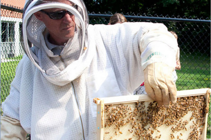 RHODE ISLAND COLLEGE has made plans to establish a beekeeping program. / COURTESY RHODE ISLAND COLLEGE