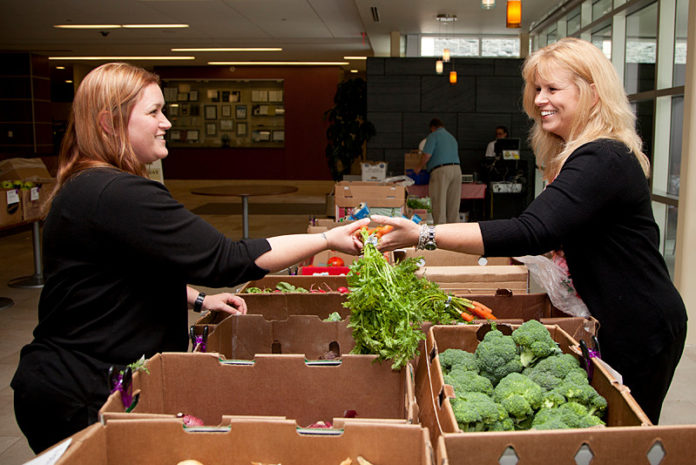 IT STARTS AT THE TABLE: FM Global employees Kimberly Pepin, left, and Carleen Derziotis take advantage of the company’s recently instituted weekly fruit and vegetable market to eat healthy foods. / PBN PHOTO/
NATALJA KENT