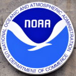 Northeast groundfish fishery named a ‘disaster’ THE NATIONAL OCEANIC AND ATMOSPHERIC ADMINISTRATION has declared the Northeast groundfish fishery a "disaster." / BLOOMBERG FILE PHOTO/MARK ELIAS