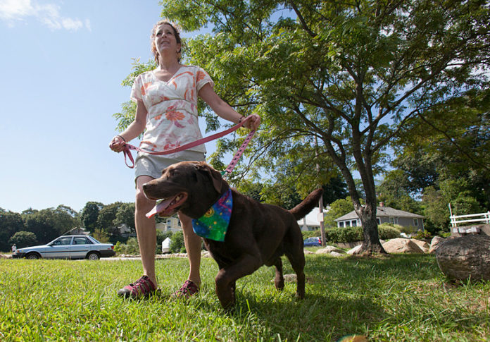 SHORTER LEASH: Maria Toro, Guardian Angel Pet Sitting owner, says that neither she nor her customers can afford the expanded sales tax, which goes into effect on Monday, Oct. 1. / PBN FILE PHOTO/DAVID LEVESQUE