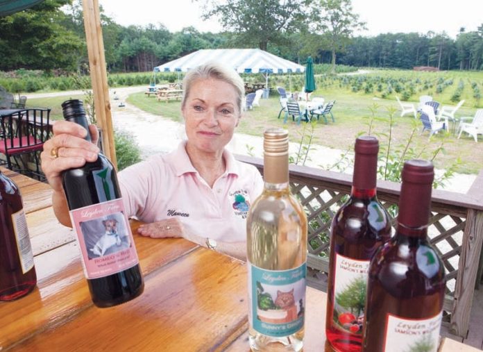 TASTE OF SUCCESS: Maureen Leyden, who owns Leyden Tree Farm with her husband, Jack, prepares wine bottles for tastings at their West Greenwich store earlier this year. / PBN FILE PHOTO/DAVID LEVESQUE