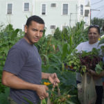 City is collaborating to grow urban agriculture TRUST AND BELIEVE: At Templot Community Garden in Olneyville, from left, are gardeners Jairo Rosales, Irma Noreiga and Southside Community Land Trust Development Director Susan Sakash. / COURTESY SOUTHSIDE COMMUNITY LAND TRUST/LUCAS FOGLIA