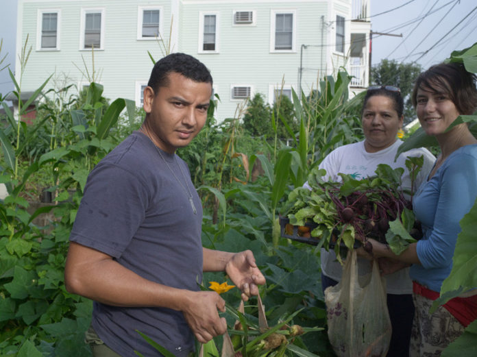 TRUST AND BELIEVE: At Templot Community Garden in Olneyville, from left, are gardeners Jairo Rosales, Irma Noreiga and Southside Community Land Trust Development Director Susan Sakash. / COURTESY SOUTHSIDE COMMUNITY LAND TRUST/LUCAS FOGLIA