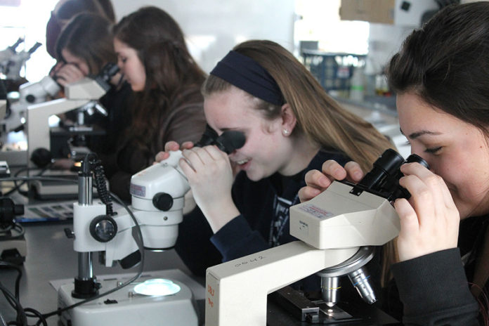 Students on March 14 play “Phytoplankton Bingo” by looking through microscopes to identify microorganisms found in Narragansett Bay, during the Tech Collective’s 12th annual GRRL Tech Interactive Technology Expo. More than 470 high school girls from around the state participated in the expo at the University of Rhode Island. The event is designed to let students learn about job opportunities in the STEM fields of science, technology, engineering and math. Students attended workshops held across the university’s South Kingstown campus. Sixty educators also participated in the expo. / COURTESY TECH COLLECTIVE
