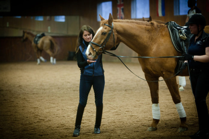 HORSE POWER: Crystal Taylor, director of riding, assistant professor, and dressage team coach, conducts a class at the Johnson & Wales Equestrian Center. / PBN PHOTO/ STEPHANIE ALVAREZ EWENS