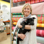 Stylish collars, leashes feeding growing pet market PET PROJECT: Up Country founder Alice Nichols with her new puppy, Minnie. She started the company 30 years ago, growing it to a 30-person firm. / PBN FILE PHOTO/RUPERT WHITELEY