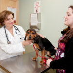 Career path always clear for longtime veterinarian DOG DAYS ARE OVER: Joyce R. Gifford, Abbott Valley Veterinary Center owner, left, works on “Buddy” as the dog’s owner, Cevyn Rieger, looks on. / PBN FILE PHOTO/NATALJA KENT