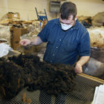 LEADER OF THE PAC: Tim Viverous sorts alpaca fiber at New England Alpaca Fiber Pool in Fall River. The 10,000-square-foot facility processes about 80,000 pounds of alpaca fiber each year. / PBN PHOTO/BRIAN MCDONALD