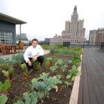FROM THE GROUND, UP: Matthew Varga, executive chef at Gracie’s, tends to the restaurant’s rooftop garden on the nearby Peerless Lofts building. / PBN PHOTO/BRIAN MCDONALD