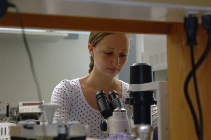 ENGINEERING SUCCESS: Lauren Bookstaver, a Brown University research assistant, works in the university’s bioengineering lab. The Ivy League institution is looking to grow its bioengineering program, and with it, the school itself. / PBN PHOTO/BRIAN MCDONALD